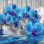 AD Customize Wallpaper 9